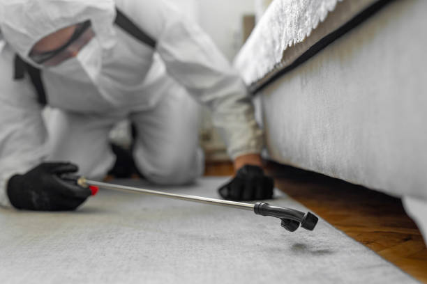 Professional Pest Control technician working in Fulton, MO