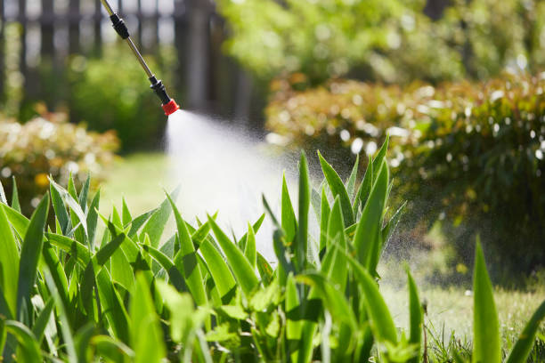 24/7 Emergency Pest Control experts in Fulton, MO