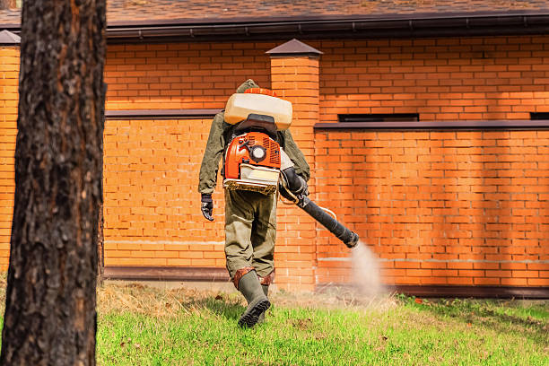 Top rated local Pest Control specialists in Fulton, MO